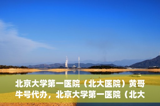 北京大学第一医院（北大医院）黄哥牛号代办，北京大学第一医院（北大医院）黄哥牛号代办，揭秘背后的故事