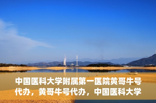 中国医科大学附属第一医院黄哥牛号代办，黄哥牛号代办，中国医科大学附属第一医院挂号服务新动向