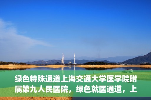 绿色特殊通道上海交通大学医学院附属第九人民医院，绿色就医通道，上海交通大学医学院附属第九人民医院的探索与实践