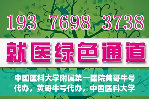 中国医科大学附属第一医院黄哥牛号代办，黄哥牛号代办，中国医科大学附属第一医院挂号服务新动向