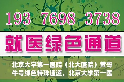 北京大学第一医院（北大医院）黄哥牛号绿色特殊通道，北京大学第一医院绿色特殊通道，黄哥牛号的探索与实践