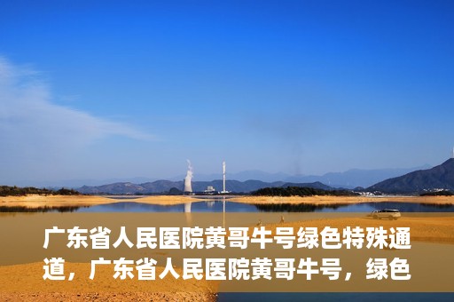 广东省人民医院黄哥牛号绿色特殊通道，广东省人民医院黄哥牛号，绿色特殊通道开启健康之门