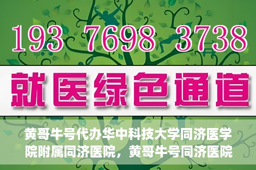 黄哥牛号代办华中科技大学同济医学院附属同济医院，黄哥牛号同济医院代办服务，专业助力就医无忧！