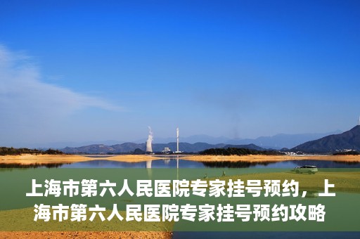上海市第六人民医院专家挂号预约，上海市第六人民医院专家挂号预约攻略，一站式解决您的就医需求