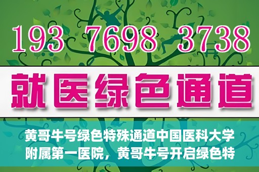 黄哥牛号绿色特殊通道中国医科大学附属第一医院，黄哥牛号开启绿色特殊通道，中国医科大学附属第一医院助力健康中国行动