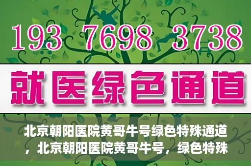 北京朝阳医院黄哥牛号绿色特殊通道，北京朝阳医院黄哥牛号，绿色特殊通道开启健康之门