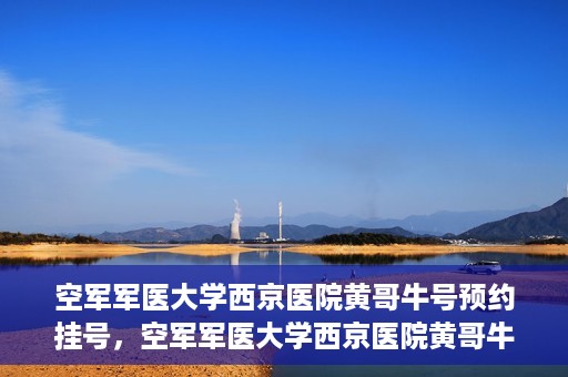 空军军医大学西京医院黄哥牛号预约挂号，空军军医大学西京医院黄哥牛医生预约挂号攻略