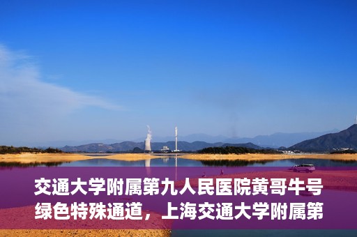 交通大学附属第九人民医院黄哥牛号绿色特殊通道，上海交通大学附属第九人民医院黄哥牛号，绿色特殊通道开启健康之门