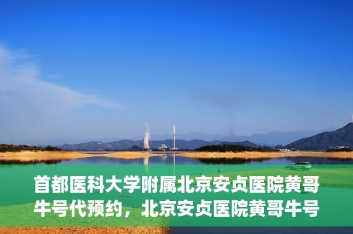 首都医科大学附属北京安贞医院黄哥牛号代预约，北京安贞医院黄哥牛号预约服务解析