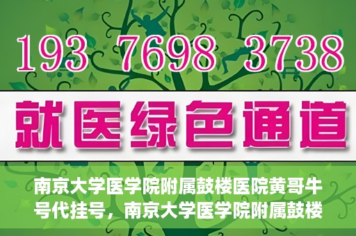 南京大学医学院附属鼓楼医院黄哥牛号代挂号，南京大学医学院附属鼓楼医院黄哥牛号代挂号解析，专业解读与预约攻略