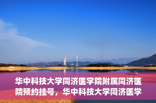 华中科技大学同济医学院附属同济医院预约挂号，华中科技大学同济医学院附属同济医院预约挂号指南