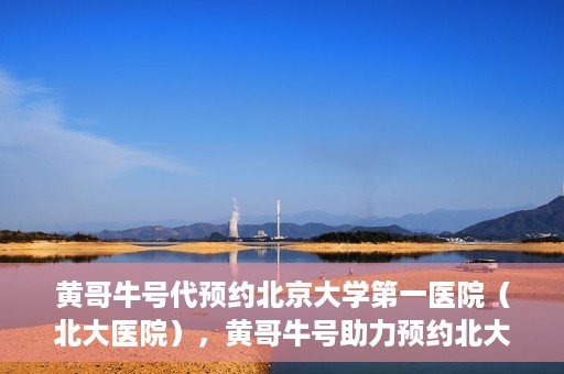 黄哥牛号代预约北京大学第一医院（北大医院），黄哥牛号助力预约北大医院——北京大学第一医院权威预约服务开启