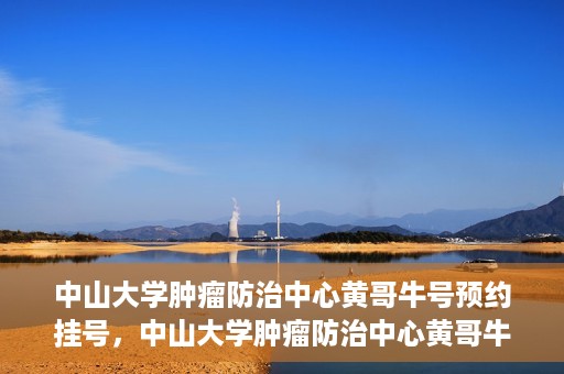 中山大学肿瘤防治中心黄哥牛号预约挂号，中山大学肿瘤防治中心黄哥牛号预约挂号攻略解析