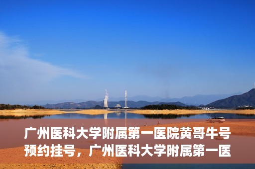广州医科大学附属第一医院黄哥牛号预约挂号，广州医科大学附属第一医院黄哥名医牛号预约挂号攻略