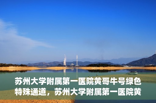 苏州大学附属第一医院黄哥牛号绿色特殊通道，苏州大学附属第一医院黄哥牛号，绿色特殊通道的守护力量