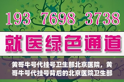 黄哥牛号代挂号卫生部北京医院，黄哥牛号代挂号背后的北京医院卫生部揭秘