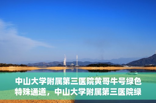中山大学附属第三医院黄哥牛号绿色特殊通道，中山大学附属第三医院绿色特殊通道，黄哥牛号引领医疗创新之路