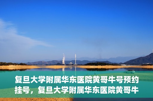 复旦大学附属华东医院黄哥牛号预约挂号，复旦大学附属华东医院黄哥牛号预约挂号攻略解析