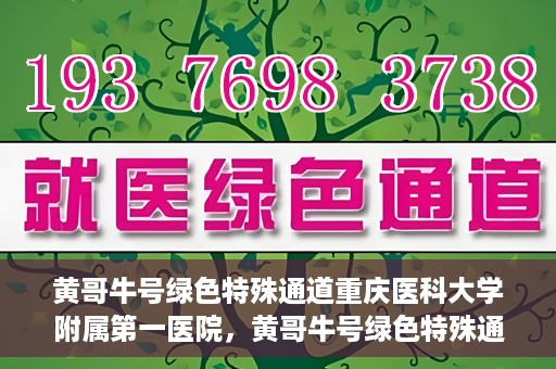 黄哥牛号绿色特殊通道重庆医科大学附属第一医院，黄哥牛号绿色特殊通道，重庆医科大学附属第一医院实践探索