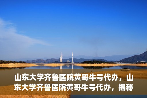 山东大学齐鲁医院黄哥牛号代办，山东大学齐鲁医院黄哥牛号代办，揭秘背后的故事与真相
