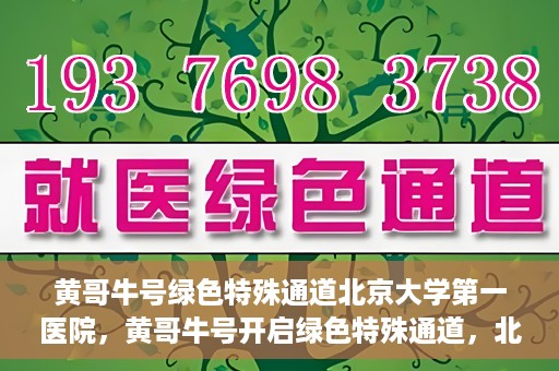 黄哥牛号绿色特殊通道北京大学第一医院，黄哥牛号开启绿色特殊通道，北京大学第一医院全力护航健康之路