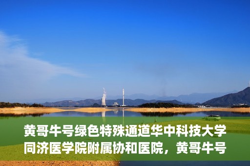 黄哥牛号绿色特殊通道华中科技大学同济医学院附属协和医院，黄哥牛号开启绿色特殊通道，华中科技大学同济医学院附属协和医院助力健康中国行动