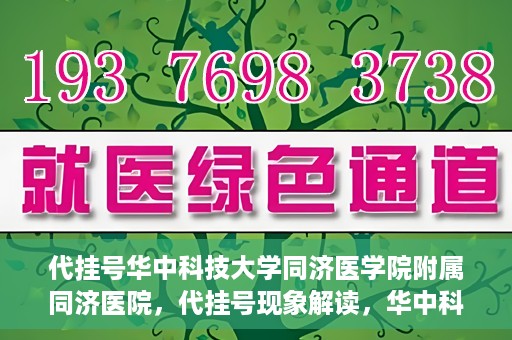 代挂号华中科技大学同济医学院附属同济医院，代挂号现象解读，华中科技大学同济医学院附属同济医院的医疗管理与挑战