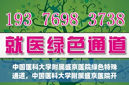 中国医科大学附属盛京医院绿色特殊通道，中国医科大学附属盛京医院开通绿色特殊通道，助力患者快速就医