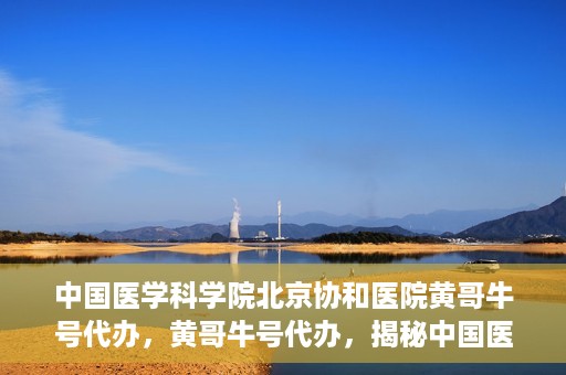 中国医学科学院北京协和医院黄哥牛号代办，黄哥牛号代办，揭秘中国医学科学院北京协和医院背后的故事