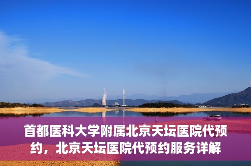 首都医科大学附属北京天坛医院代预约，北京天坛医院代预约服务详解