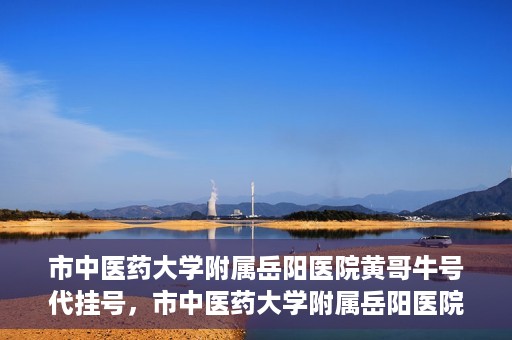 市中医药大学附属岳阳医院黄哥牛号代挂号，市中医药大学附属岳阳医院黄哥牛号代挂号服务解析