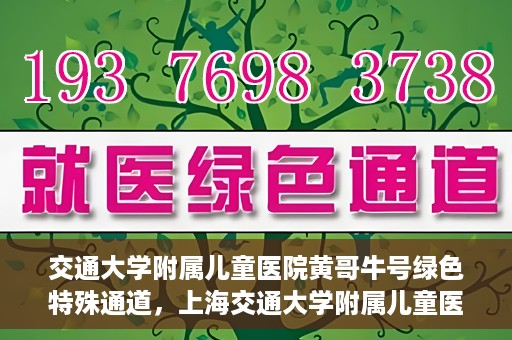 交通大学附属儿童医院黄哥牛号绿色特殊通道，上海交通大学附属儿童医院黄哥牛号绿色特殊通道揭秘