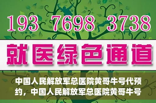 中国人民解放军总医院黄哥牛号代预约，中国人民解放军总医院黄哥牛号预约服务解析