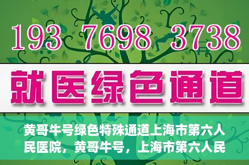黄哥牛号绿色特殊通道上海市第六人民医院，黄哥牛号，上海市第六人民医院绿色特殊通道揭秘