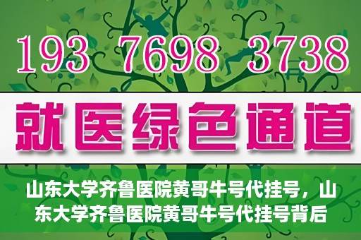 山东大学齐鲁医院黄哥牛号代挂号，山东大学齐鲁医院黄哥牛号代挂号背后的故事与探索