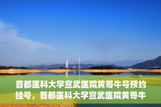 首都医科大学宣武医院黄哥牛号预约挂号，首都医科大学宣武医院黄哥牛号，预约挂号攻略