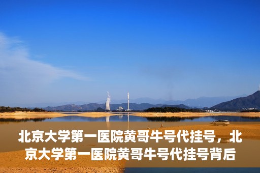 北京大学第一医院黄哥牛号代挂号，北京大学第一医院黄哥牛号代挂号背后的故事与真相探索
