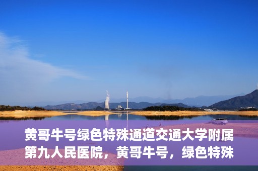 黄哥牛号绿色特殊通道交通大学附属第九人民医院，黄哥牛号，绿色特殊通道下的交通大学附属第九人民医院新篇章