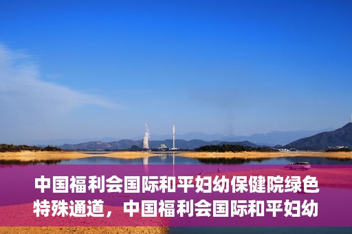 中国福利会国际和平妇幼保健院绿色特殊通道，中国福利会国际和平妇幼保健院，绿色特殊通道助力母婴健康守护