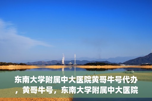 东南大学附属中大医院黄哥牛号代办，黄哥牛号，东南大学附属中大医院的代办之路