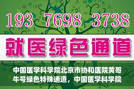 中国医学科学院北京市协和医院黄哥牛号绿色特殊通道，中国医学科学院北京市协和医院黄哥牛号，绿色特殊通道开启健康之门