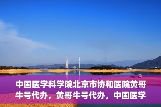 中国医学科学院北京市协和医院黄哥牛号代办，黄哥牛号代办，中国医学科学院北京市协和医院就医新途径探索
