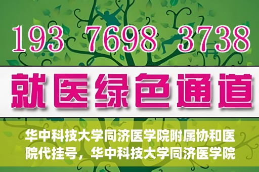 华中科技大学同济医学院附属协和医院代挂号，华中科技大学同济医学院附属协和医院代挂号服务详解