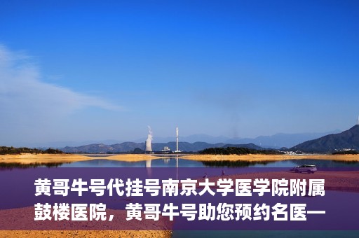 黄哥牛号代挂号南京大学医学院附属鼓楼医院，黄哥牛号助您预约名医——南京鼓楼医院挂号新体验
