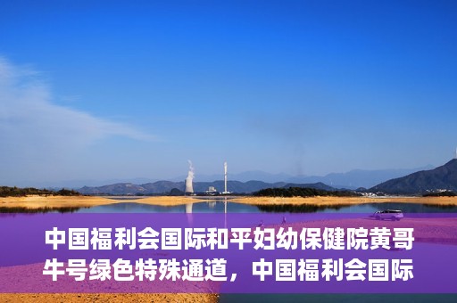 中国福利会国际和平妇幼保健院黄哥牛号绿色特殊通道，中国福利会国际和平妇幼保健院开设黄哥牛号绿色特殊通道，助力母婴健康关爱行动