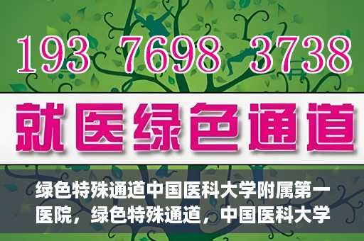 绿色特殊通道中国医科大学附属第一医院，绿色特殊通道，中国医科大学附属第一医院探索前行