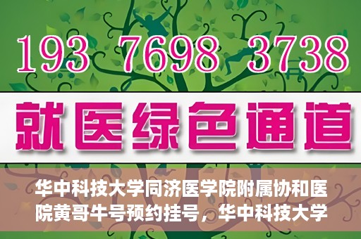 华中科技大学同济医学院附属协和医院黄哥牛号预约挂号，华中科技大学同济医学院附属协和医院黄哥牛号预约挂号攻略解析