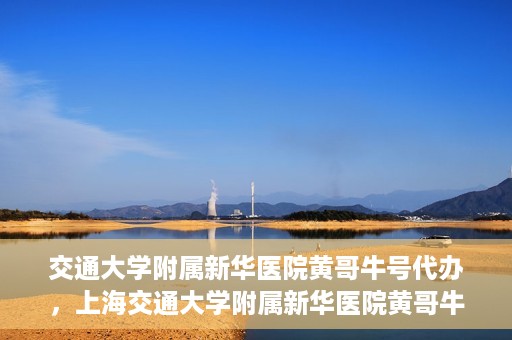 交通大学附属新华医院黄哥牛号代办，上海交通大学附属新华医院黄哥牛号代办服务解析