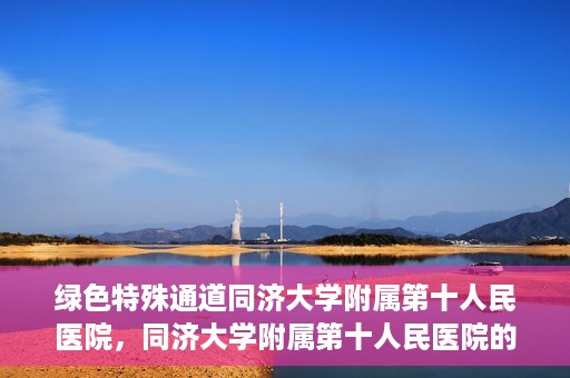 绿色特殊通道同济大学附属第十人民医院，同济大学附属第十人民医院的绿色特殊通道