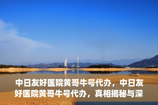 中日友好医院黄哥牛号代办，中日友好医院黄哥牛号代办，真相揭秘与深度解析